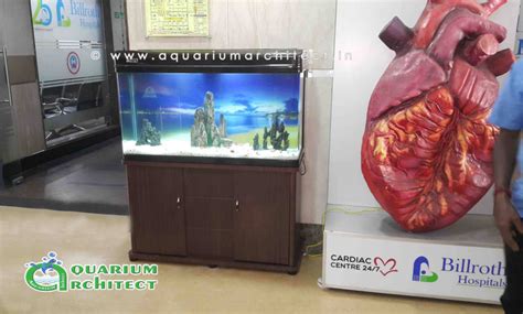 Aquarium Styles | Plasma Aquarium | Customised Aquariums | Acrylic ...