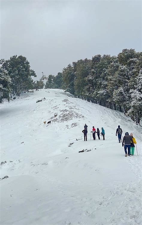 Nag Tibba Trek 2026 - Itinerary, Package & Safety Tips