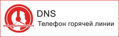 DNS - бесплатный телефон горячей линии