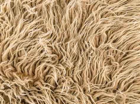 Fibras Textiles 的图像结果