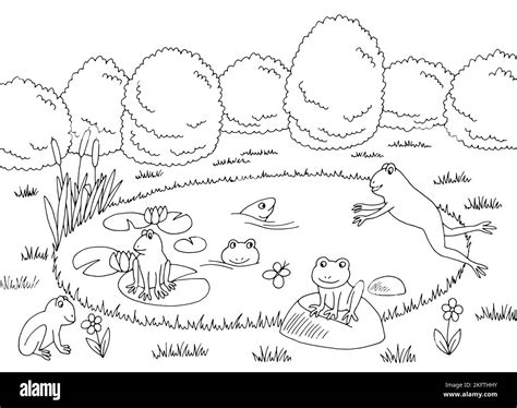 Pond Animals Clipart Black And White