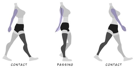 Walk Cycle Tutorial 的图像结果