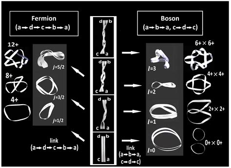 A Haptic Model for the Quantum Phase of Fermions and Bosons in Hilbert ...