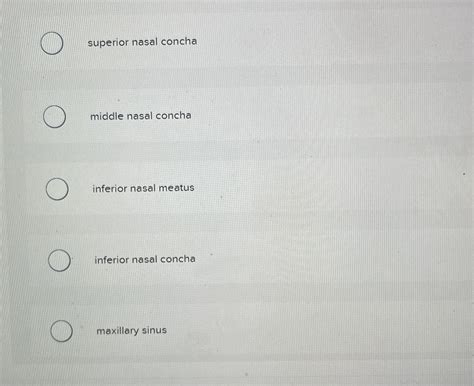 Solved superior nasal concha ﻿middle nasal concha | Chegg.com