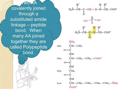 Structure and classifications of proteins | PPT