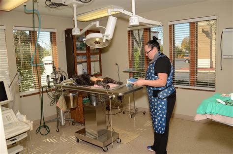 Surgery at Mokena Animal Clinic in Mokena, IL