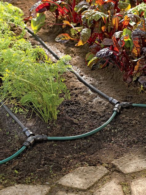 Watering Systems For Gardens: A Comprehensive Guide - Pistolholler