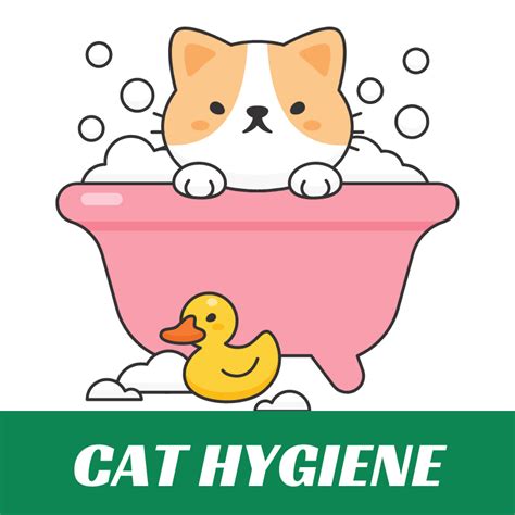 Shop Cat Hygiene Essentials in India | PURRfect Range for Your Cat’s ...