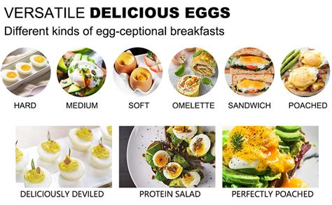 Buy GILTON Egg Boiler Electric Automatic Off 7 Egg Poacher for Steaming ...