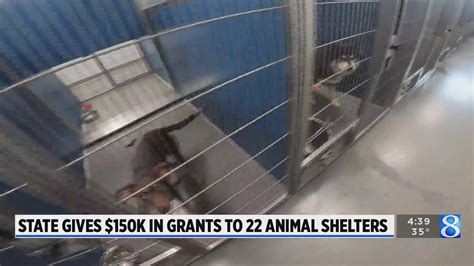 State gives $150K in grants to 22 Michigan animal shelters - WOODTV.com