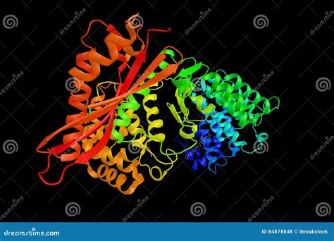 Collagenase Clostridium Histolyticum, an Enzyme Stock Illustration - Illustration of collagen ...