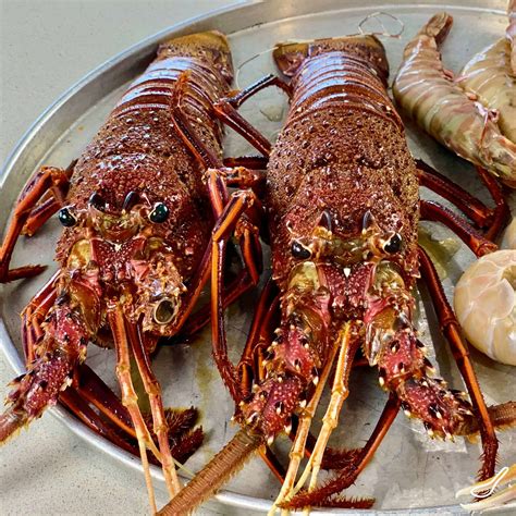Lobster Food