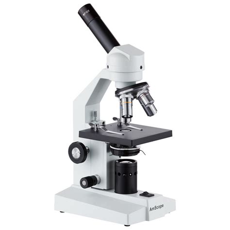 Compound Microscope Labeled Diagram | Quizlet