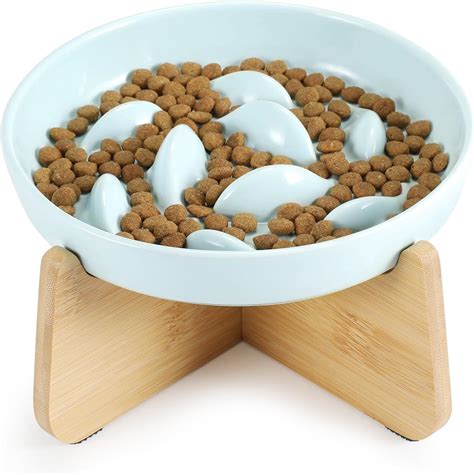 Slow Feeder Cat Bowl with Stand, Ceramic Slow Eating Cat Bowl with ...