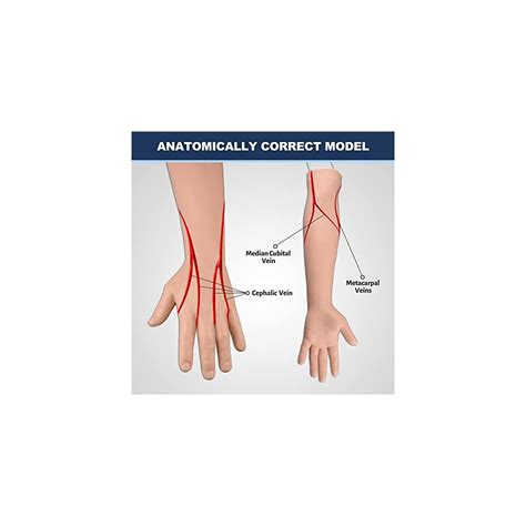 Medarchitect IV Injection and Phlebotomy Arm India | Ubuy