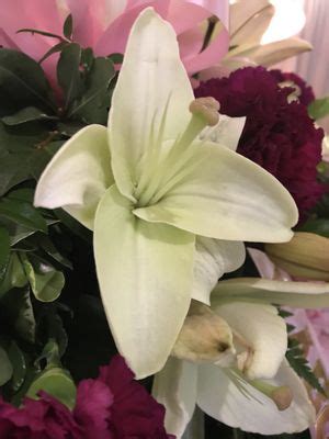 JAY CHAPEL FUNERAL DIRECTORS - Updated August 2025 - 19 Photos - 1121 ...