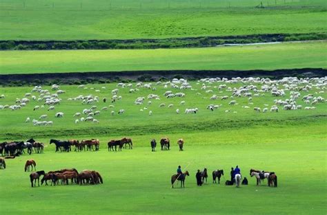 不只有大草原，冬季来内蒙古可以这样玩 | 北晚新视觉