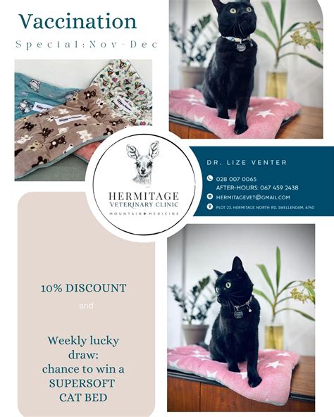 Hermitage Veterinary Clinic (@hermitagevetclinic) • Instagram photos ...