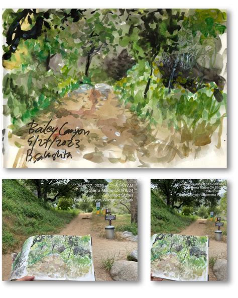 Bun Sakashita - A Path in Bailey Canyon Wilderness Park