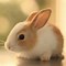 Image result for Cute Animal Photos Free