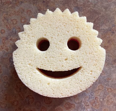 Scrub Daddy Net Worth: Value And Success Story Unveiled ...