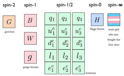 Standard Model 的图像结果