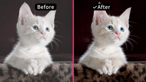 Ai 美化 的图像结果