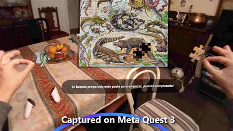 Color Space Meta Quest 的图像结果