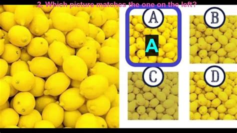 Image result for Fun Color Vision Challenge