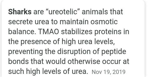 is shark stenohaline.?? - Brainly.in