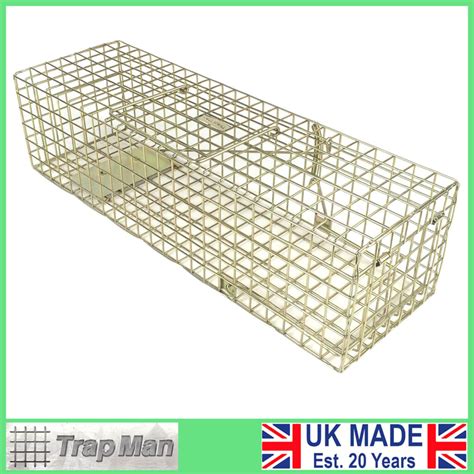 Humane Squirrel Trap be sure you thoroughly understand the squirrel trap