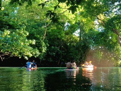 Top 10 Pandan Tours 2025 - Klook India