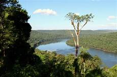 Home In The Argentinian Forest by Seven Million Hectares Of Forests Been Lost In Home In The Argentinian Forest