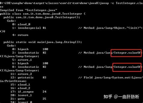 Max Btw. 2 Int Java 的图像结果