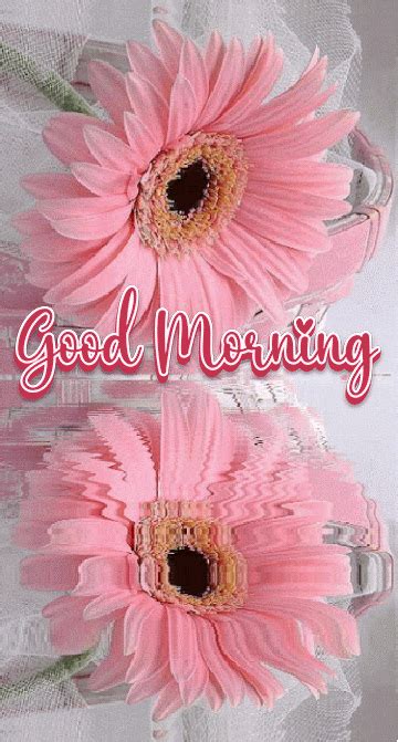 Latest Good Morning GIFs Images to Elevate Your Morning Mood | latestsms.in