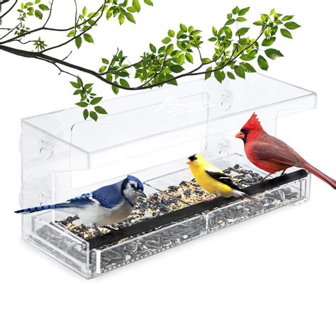 Top 10 Best Window Bird Feeders in 2025 | Buyer’s Guide