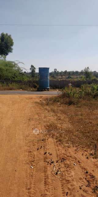 Flats, Houses, Apartments for Rent, Buy, Sale Without Brokerage in India