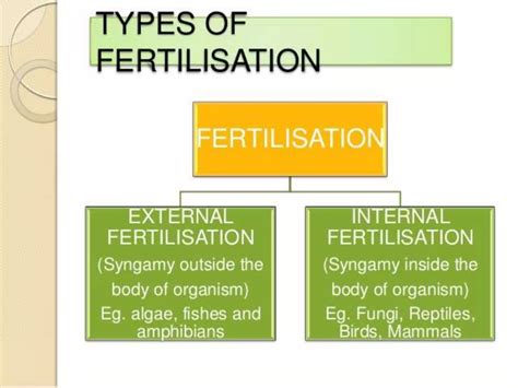 Reproduction Class 10 的图像结果