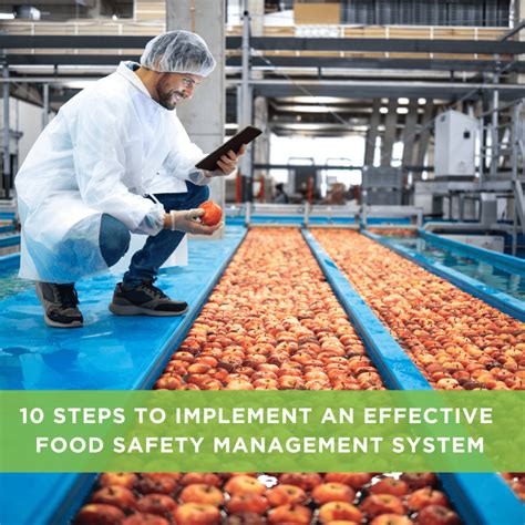 Effective Food Safety Management Systems In 10 Steps | Entecom