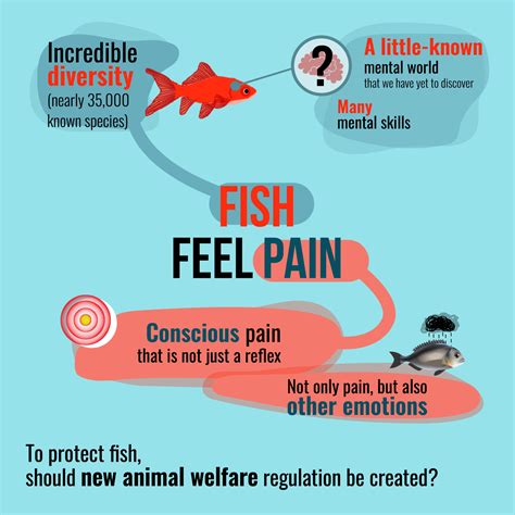 Can Fish Feel Pain? What Science Says About Aquatic Sentience