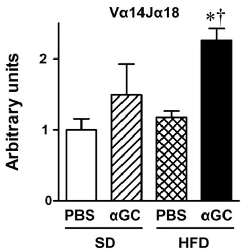 Natural Killer T Cells Are Involved in Atherosclerotic Plaque ...