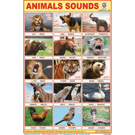 ANIMALS SOUNDS CHART SIZE 12X18 (INCHS) 300GSM ARTCARD
