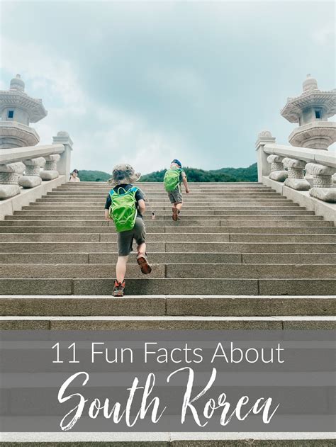 11 fun facts we’ve learned about south korea - Loving Life Moore