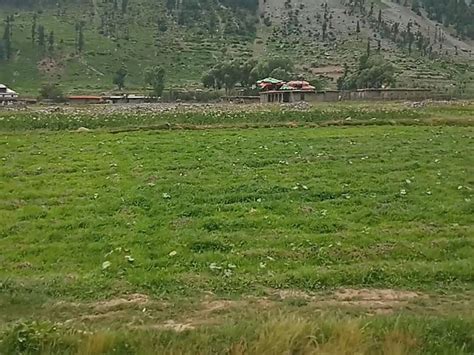 HOTEL GREEN LAND (Swat) - Hotel Reviews, Photos, Rate Comparison ...