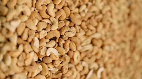 Cashew Classification: Guide to Cashew Grading & Cashews Classification