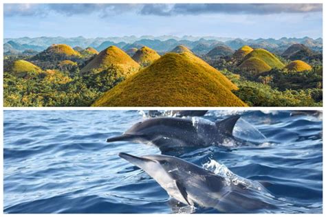2-in-1 Bohol Bundle Tour : Countryside & Island-Hopping Tour with Bohol ...