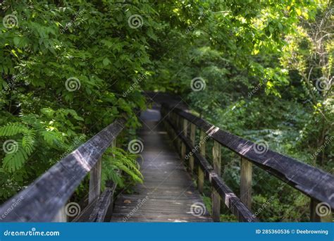 Beautiful Steele Creek Park in Bristol, Tennessee, USA Stock Photo ...