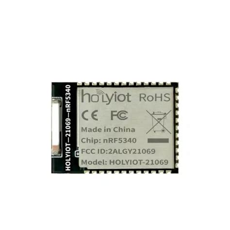 Buy Holyiot-21069-nRF5340 Nordic nRF5340 SoC Based Bluetooth 5.0 Module ...