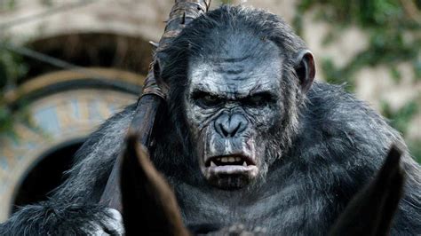 The truth about Planet of the Apes’ Caesar and Koba