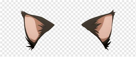 Cat ear, png | PNGWing
